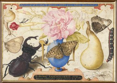 'Little Beasts' Exhibition Explores Intersection of Art, Science, and Theology