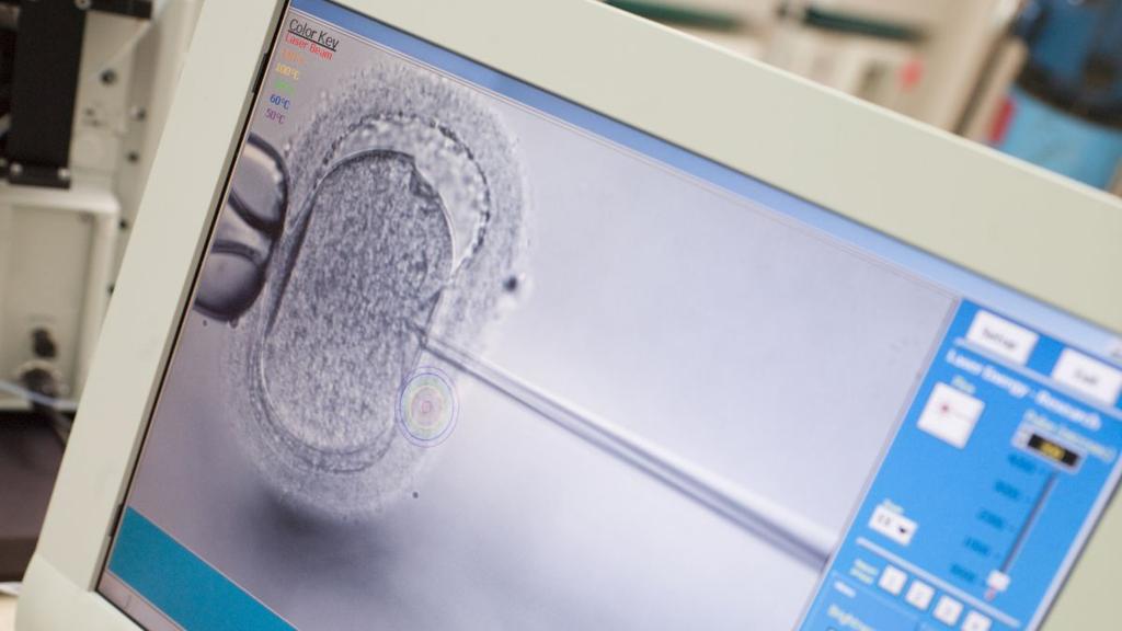 Debate Intensifies Over Embryo Screening Practices in IVF
