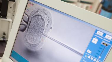 Debate Intensifies Over Embryo Screening Practices in IVF