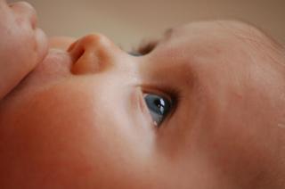 CEO of Surrogacy Firm Discusses Controversial Fertility Practices