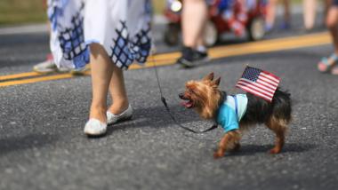 California Woman Charged for Allegedly Voting on Dog's Behalf