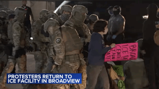 Don't Blame ICE For Enforcing Law. Blame Dems For Breaking It