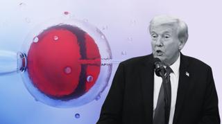 Trump’s Desire For More Babies Is Good. His IVF Plan Is Not