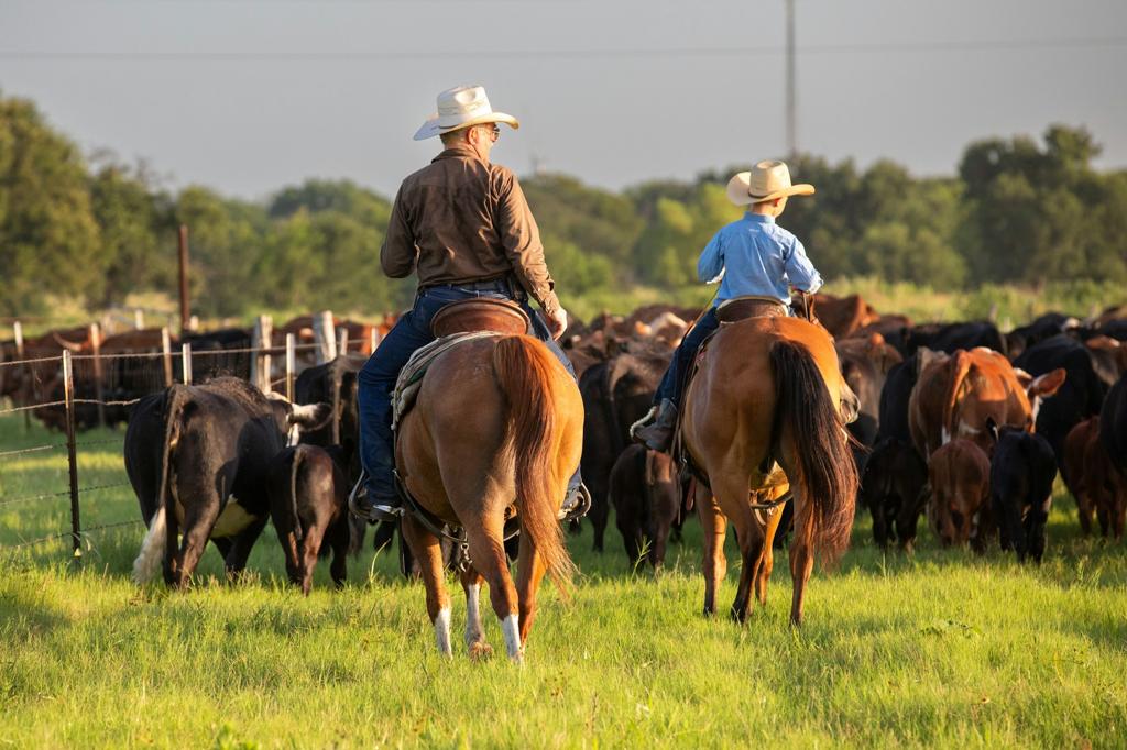 Trump's Plan to Import Argentinian Beef Raises Concerns Among U.S. Ranchers