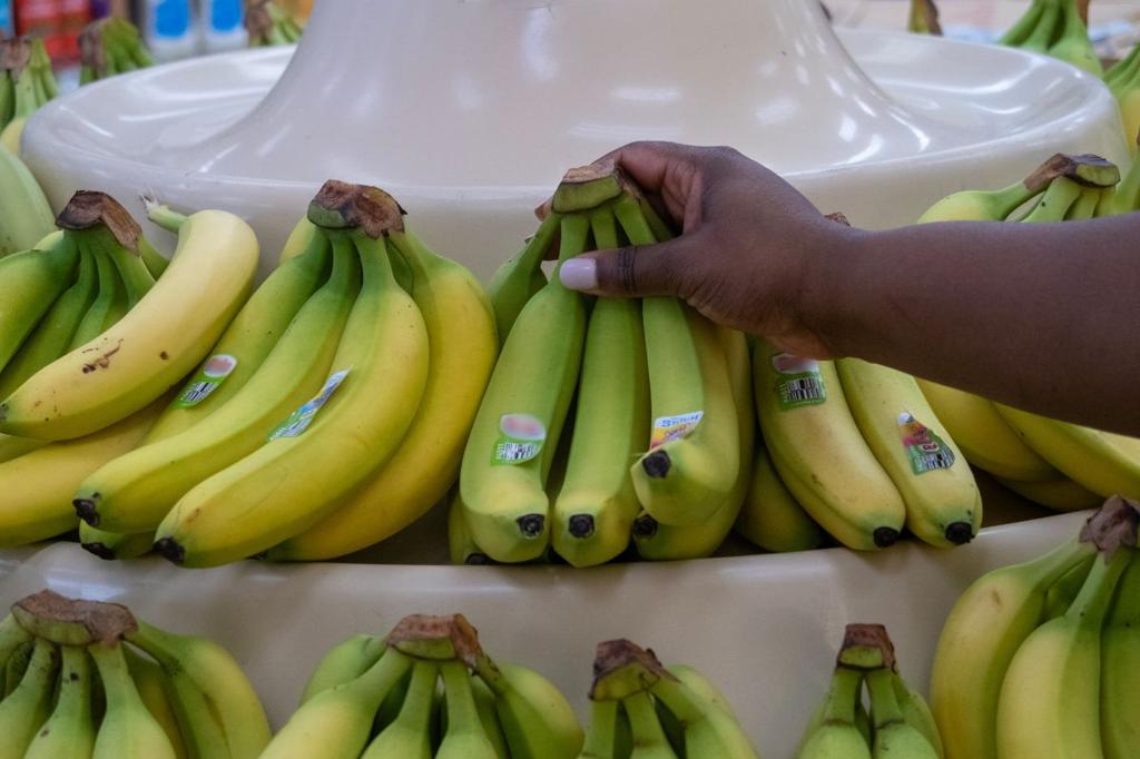 Illegal Aliens Milk SNAP For Taxpayer-Funded Free Food