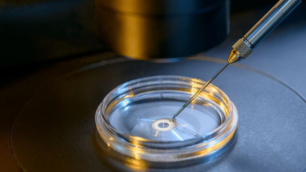 Poll Reveals Widespread Concern Over Unregulated Embryo Screening