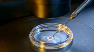 Poll Reveals Widespread Concern Over Unregulated Embryo Screening