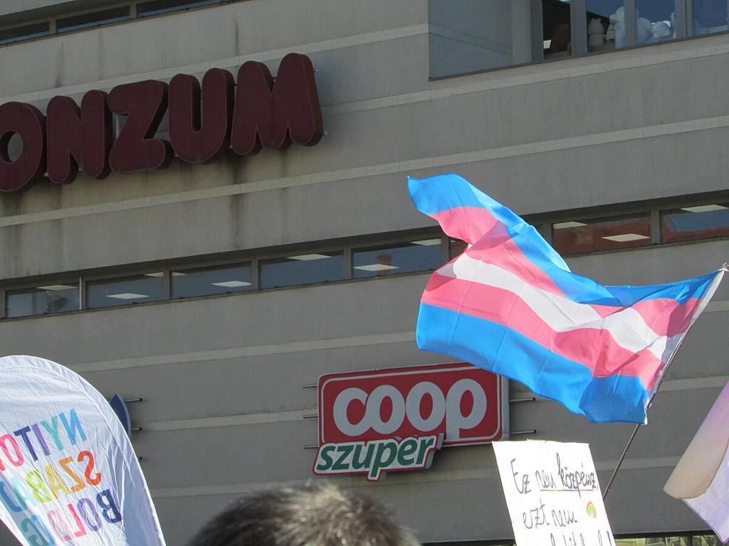 D.C. Appeals Court Upholds Trump Administration's Ban on Transgender Military Service