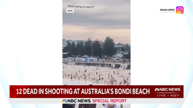 Terror Attack at Bondi Beach Sparks Debate on Immigration Policies