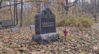 Supreme Court Declines to Review Michigan Voter Roll Lawsuit