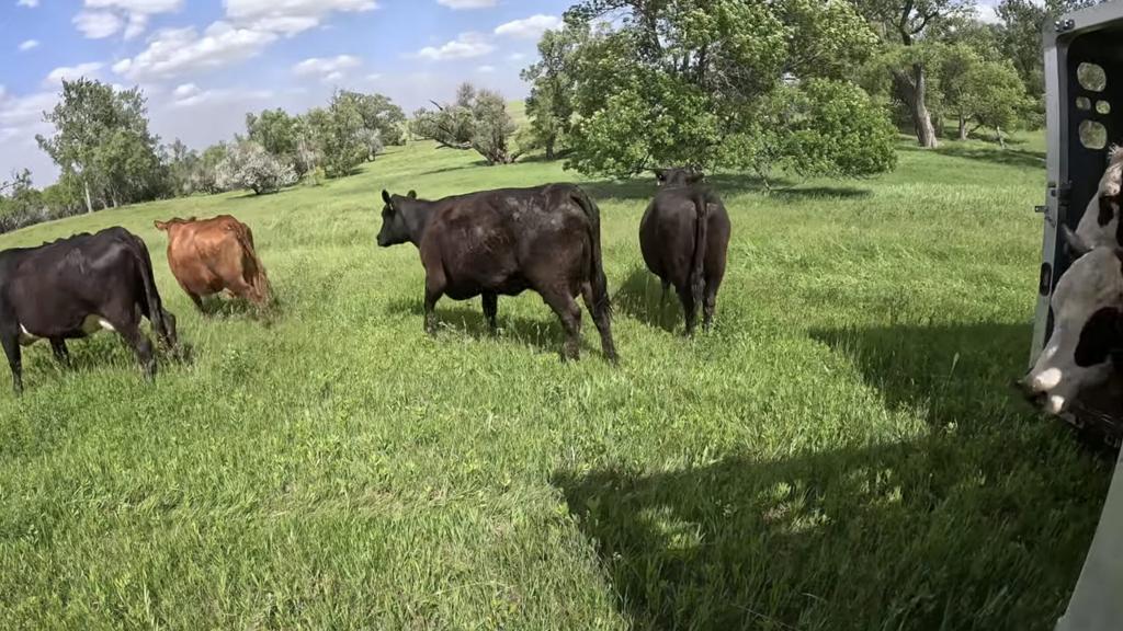 House Passes PRIME Act to Shift Meat Production Regulation to Local Control