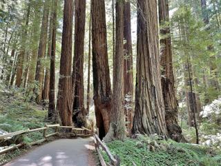 Federal Judge Orders Restoration of National Park Signs Removed by Trump Administration