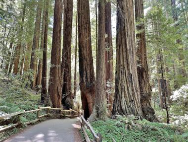Federal Judge Orders Restoration of National Park Signs Removed by Trump Administration