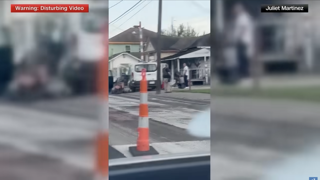ICE Agent Fatally Shoots Mexican National in Houston After Alleged Attempted Assault