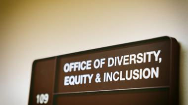 Audit Finds DEI Practices Persist in Indiana Schools Despite State Ban