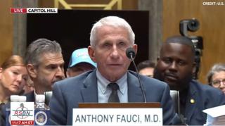 Fauci’s Fifth Amendment Plea Sparks Legal Debate Over Pardon and Contempt