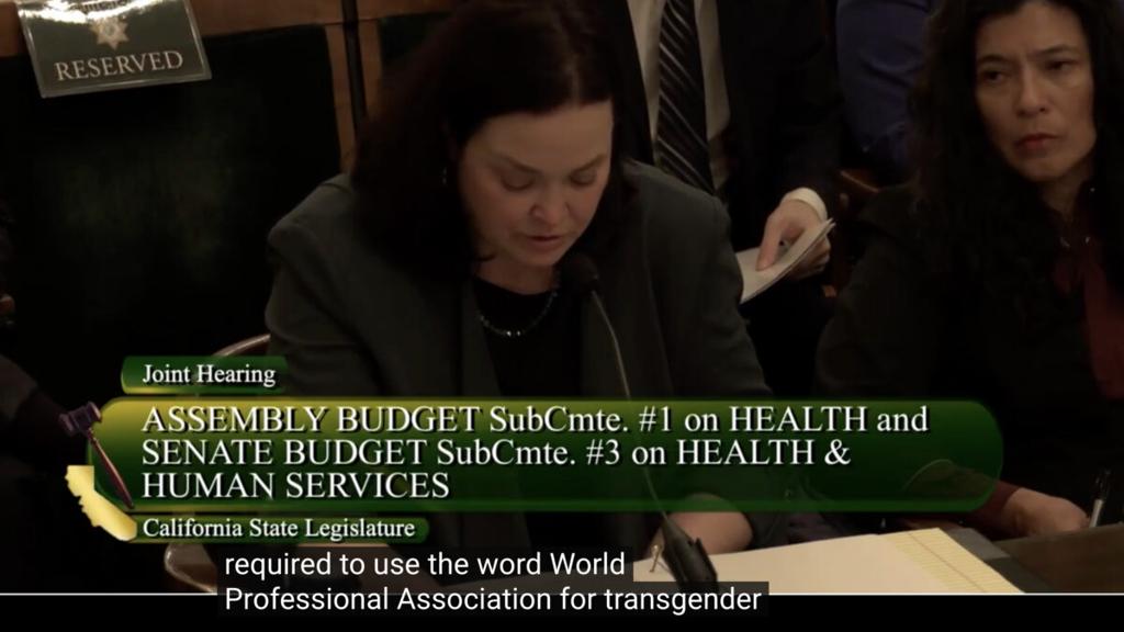 WPATH Tells Court Its Transgender Care Standards Are Opinion, Not Settled Science