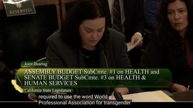 WPATH Tells Court Its Transgender Care Standards Are Opinion, Not Settled Science