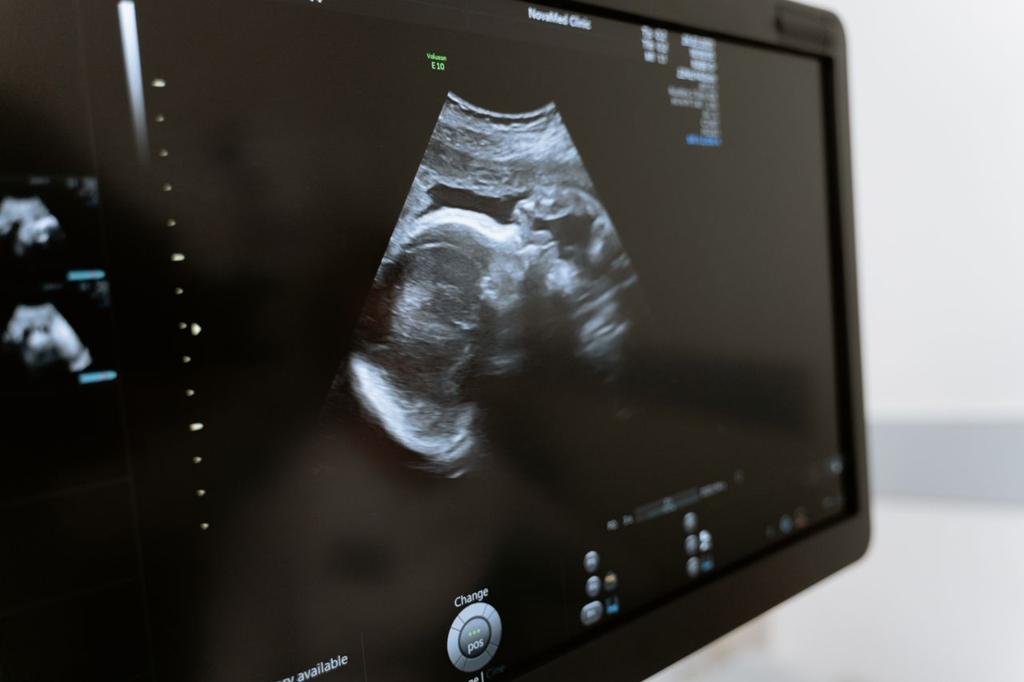 9th Circuit Temporarily Blocks Idaho Abortion Ruling, Restoring State Law