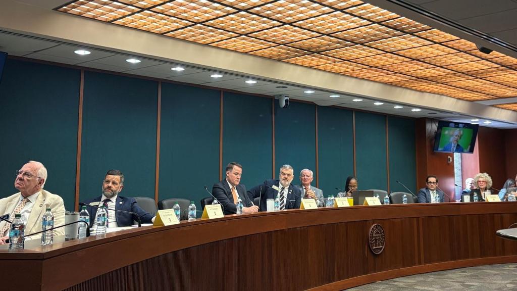 Georgia Lawmakers Weigh Ballot-on-Demand, Accessibility in Voting System Overhaul