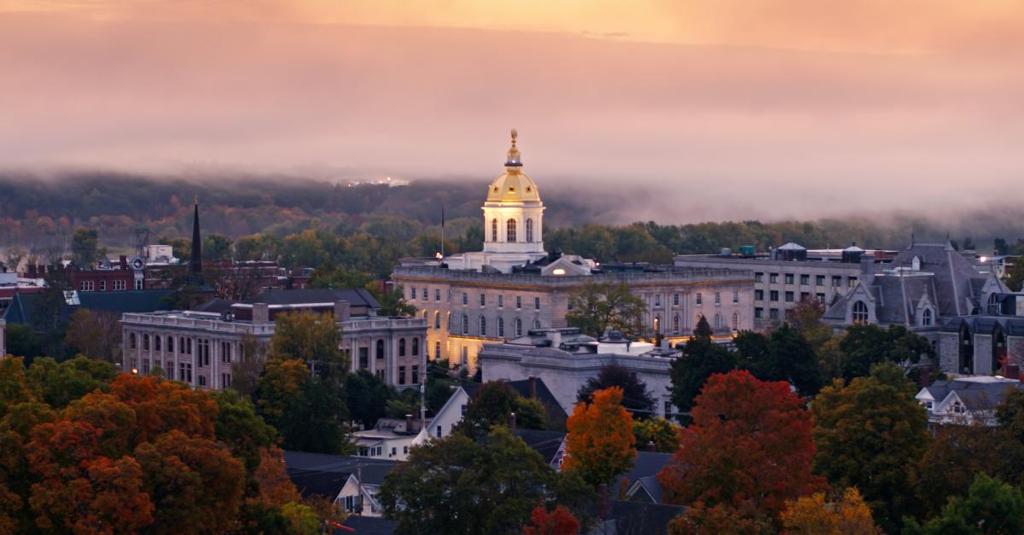 New Hampshire Primary Draws Crowded Fields for Open Senate and House Seats
