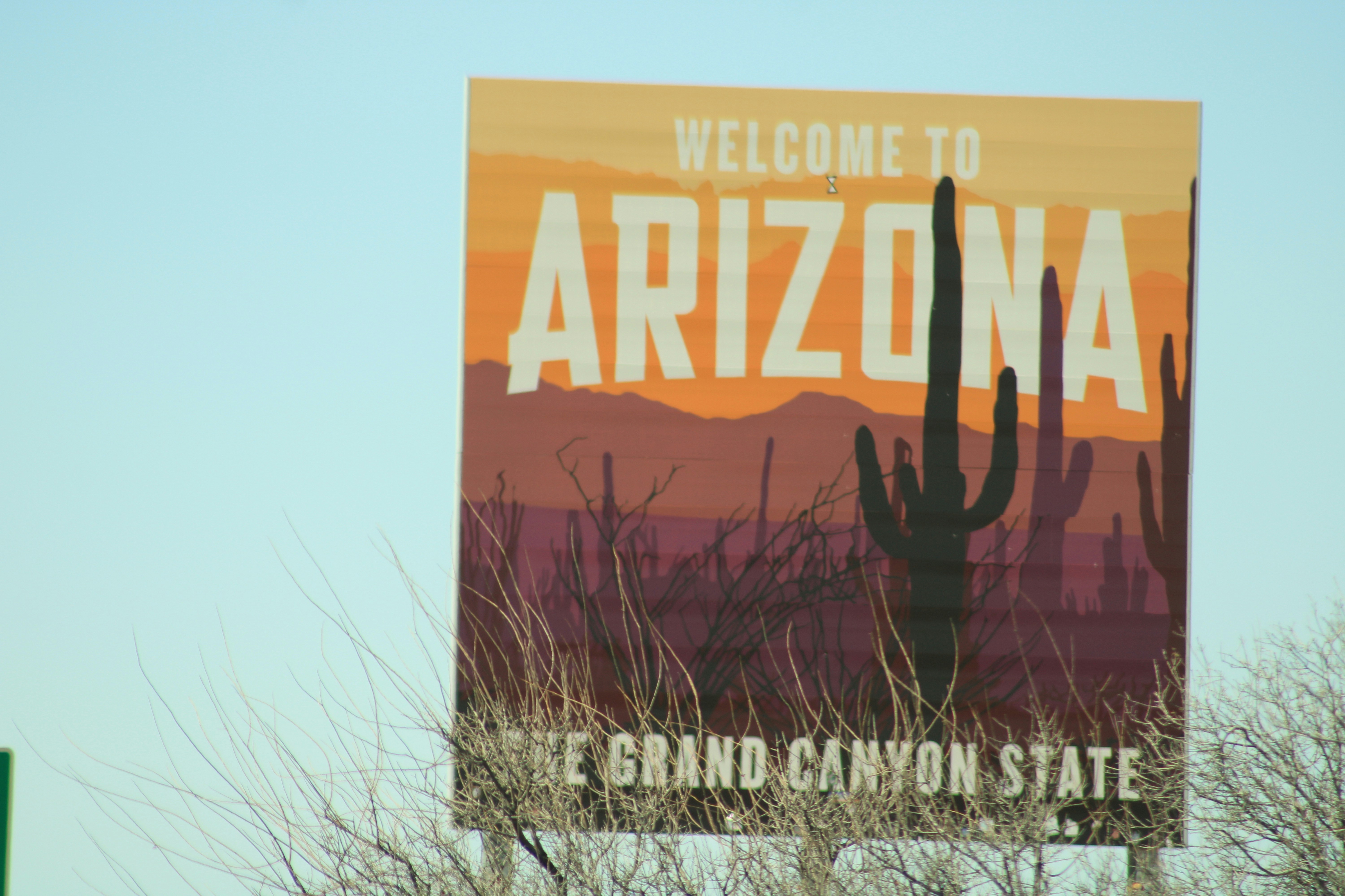 a welcome to arizona sign with a cactus in the background