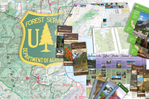 File:ForestServiceBackground.PNG