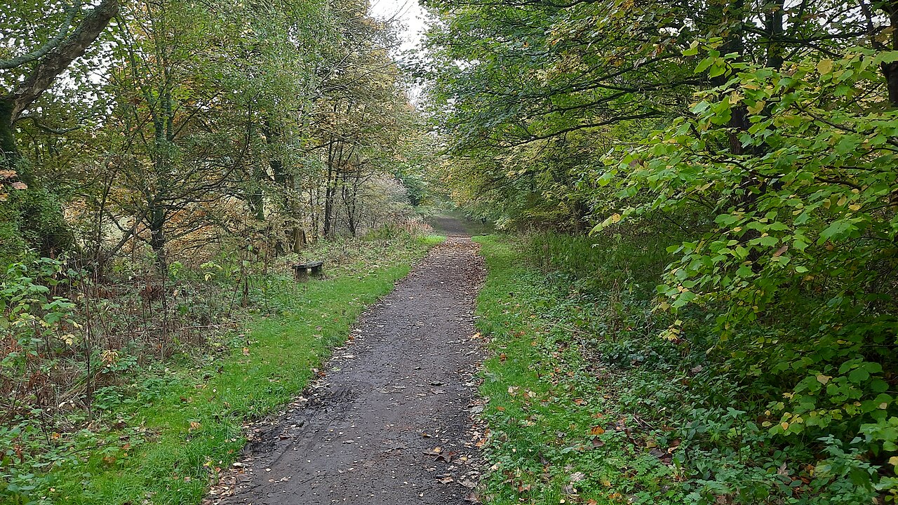 Brandon to Bishop Auckland Railway Path in Stockley Gill Wood - geograph.org.uk - 7334994.jpg