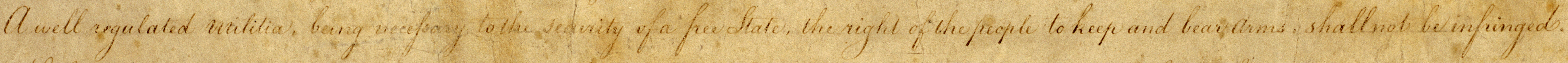 Second Amendment (Wikimedia Commons)
