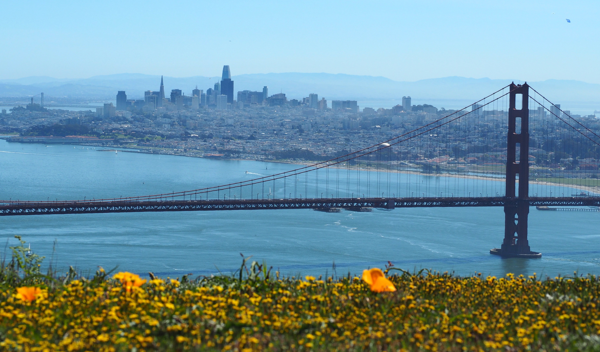 San Francisco from the Marin Headlands on March 31, 2019 during California's Superbloom