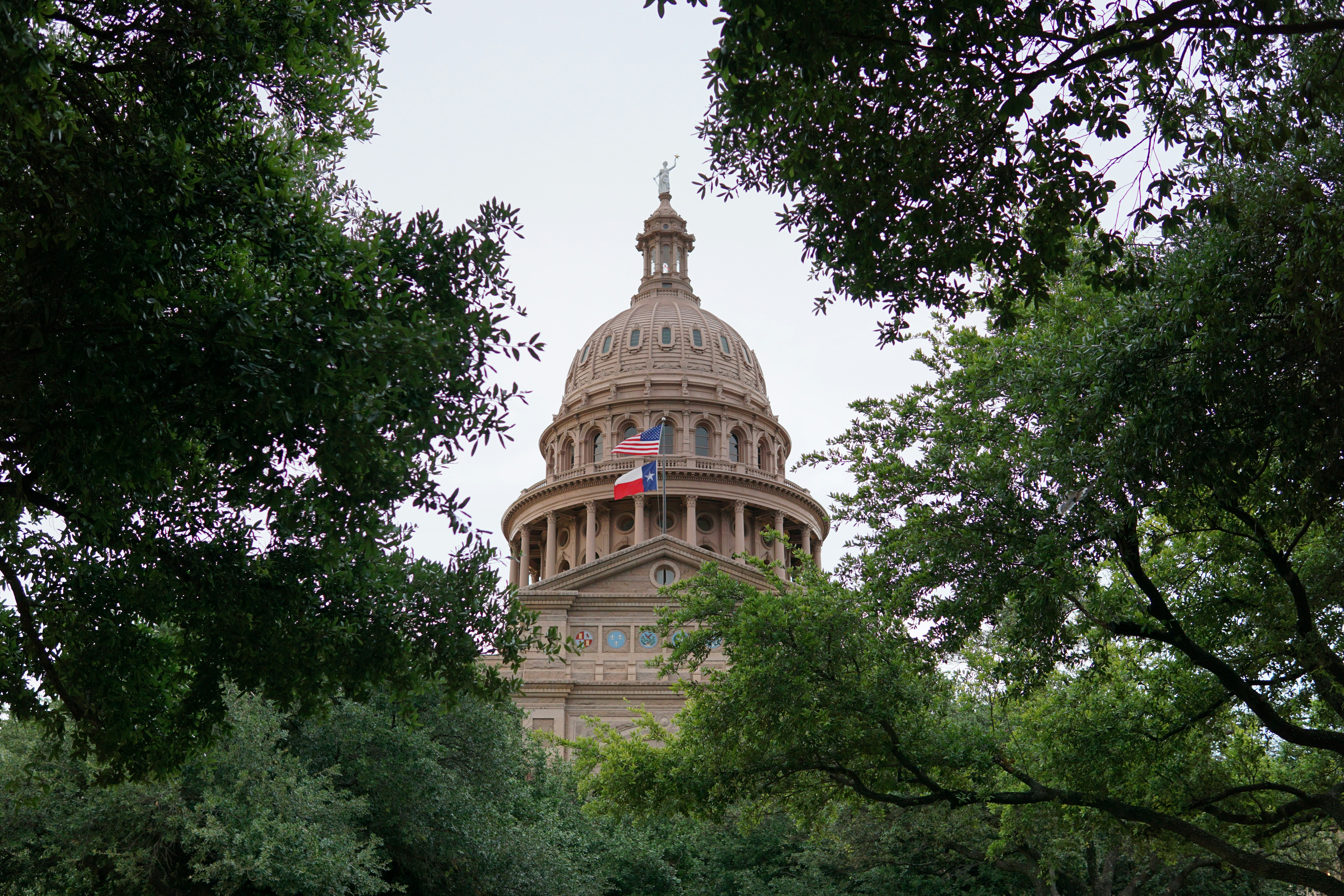 Texas state capitol building framed by trees.