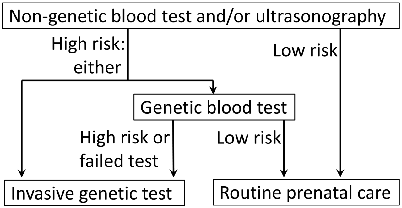 Prenatal Down syndrome screening algorithm.png