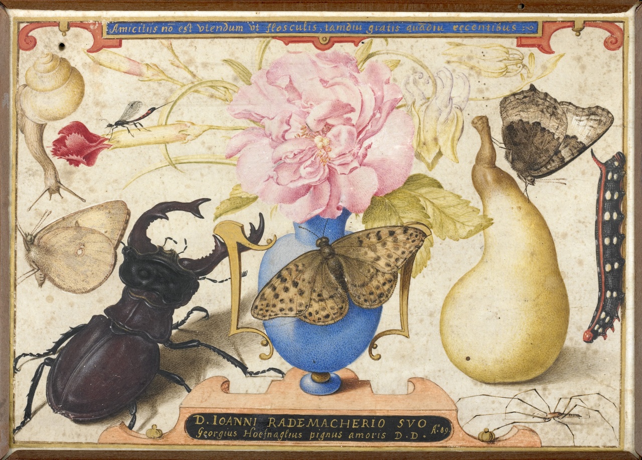 'Little Beasts' Exhibition Explores Intersection of Art, Science, and Theology