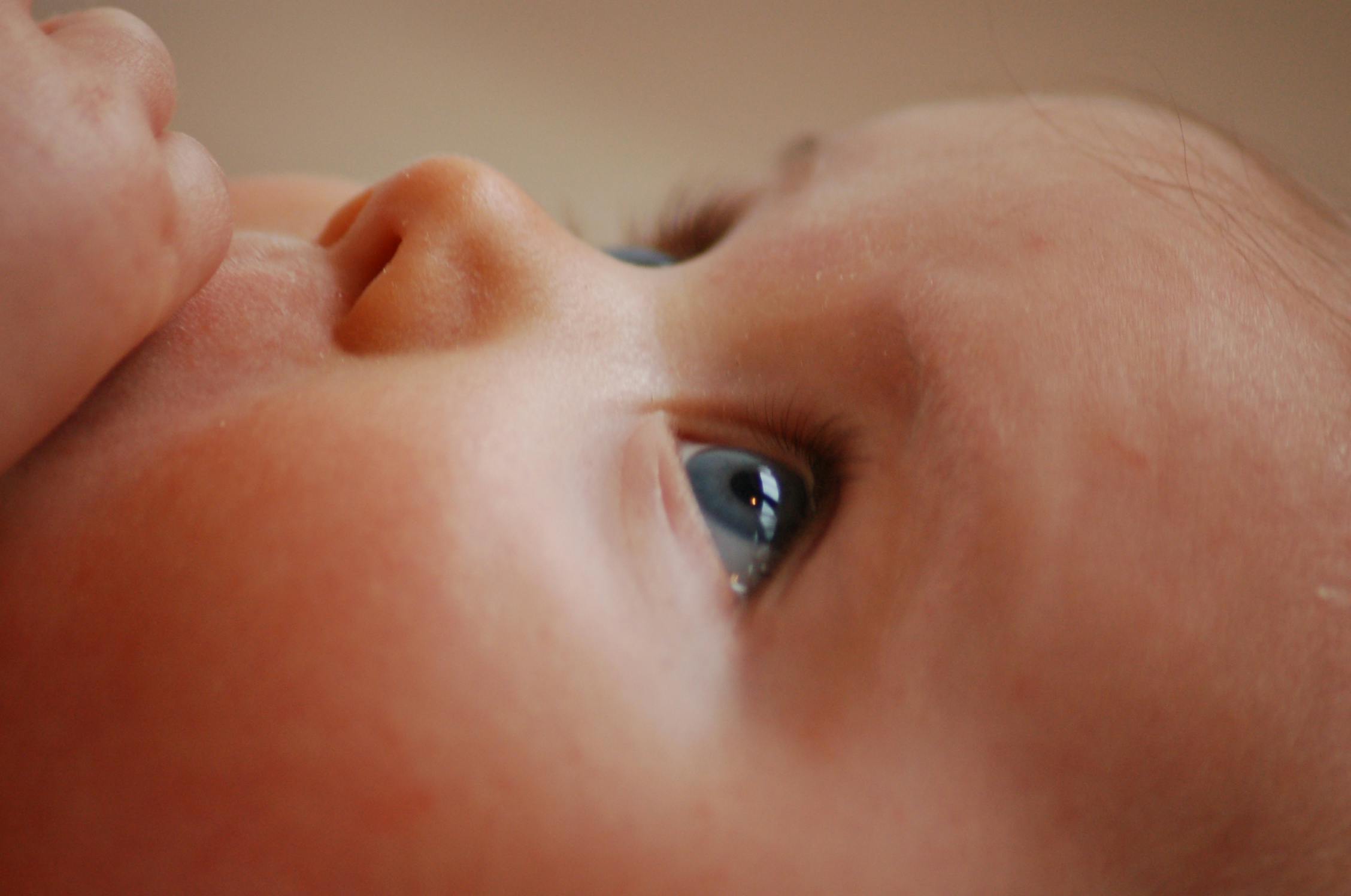CEO of Surrogacy Firm Discusses Controversial Fertility Practices