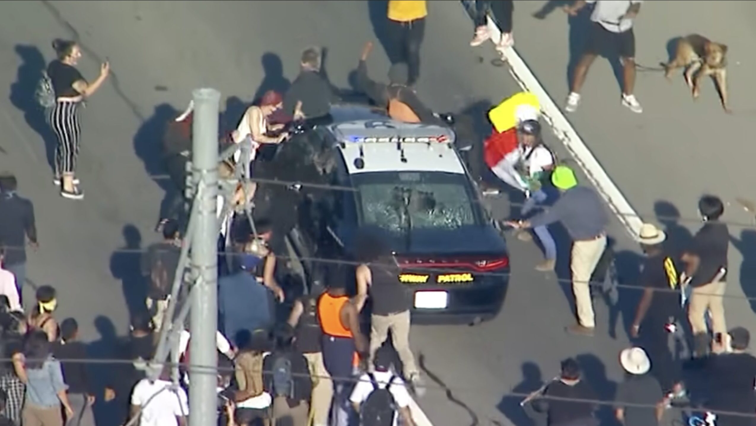 The Left's Love Affair With Terrorists Isn't New -- It's The Playbook