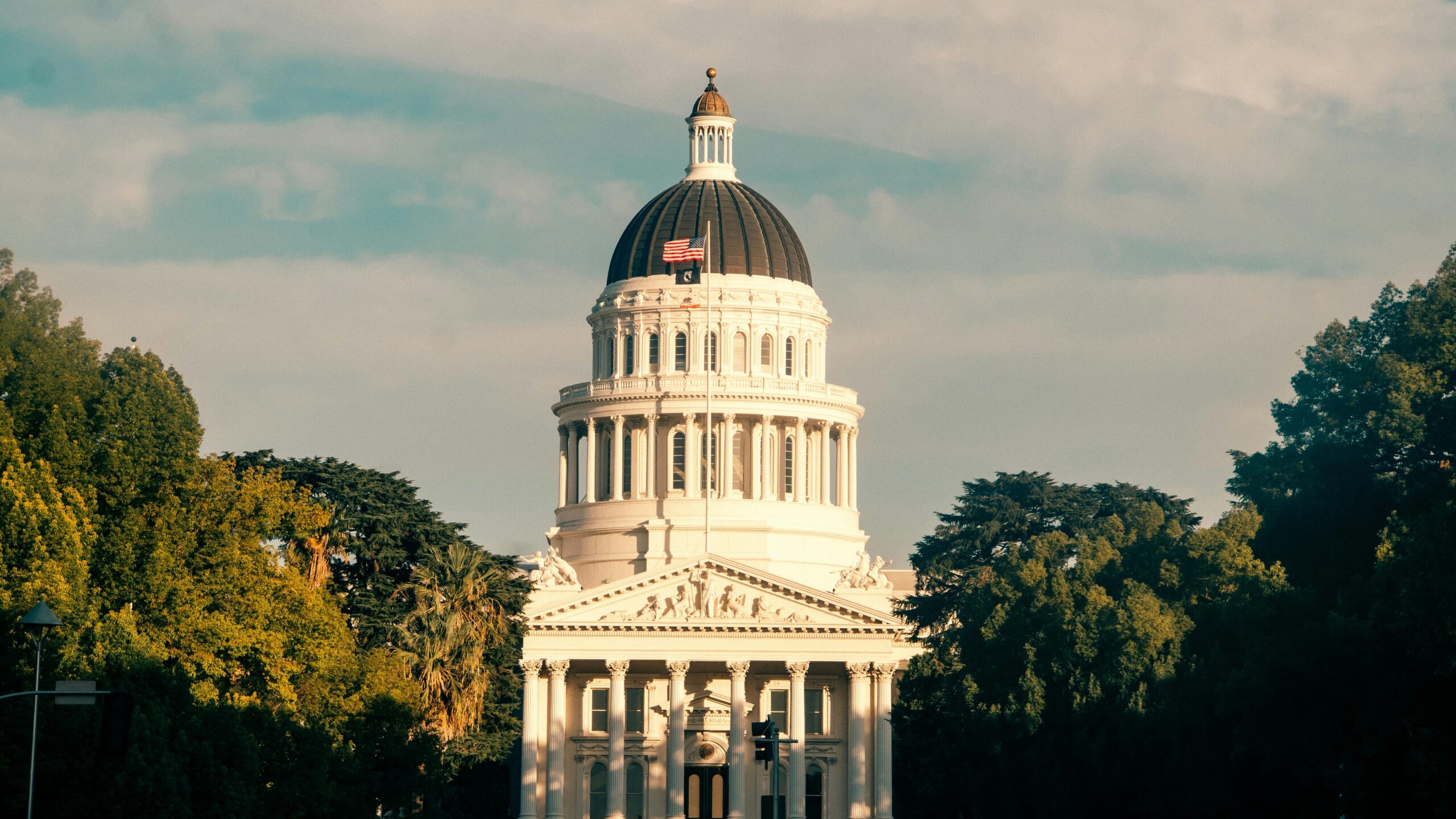 California Law Mandates Inclusion of Trevor Project Hotline on Student IDs