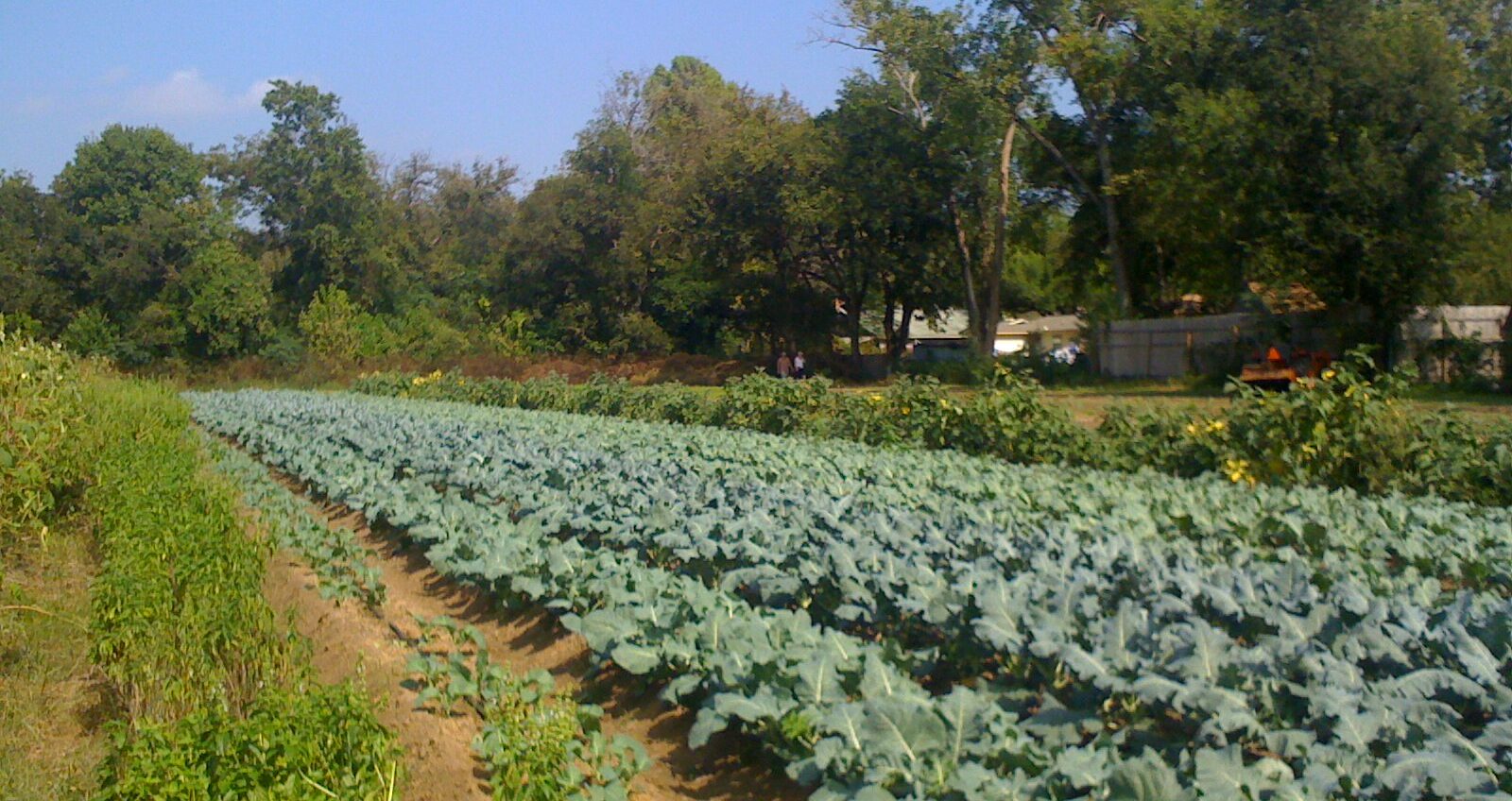 Leftists Threaten Small Farm For Hosting Conservative Think Tank