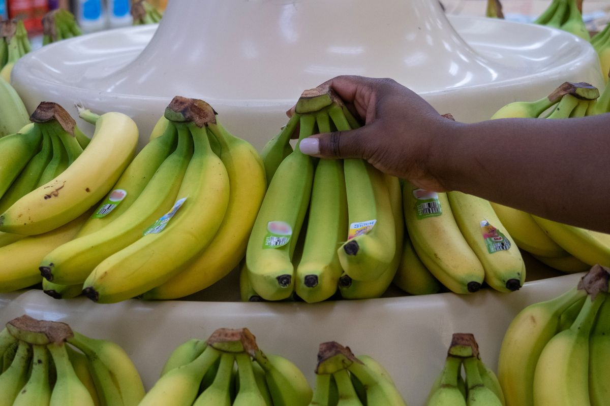 Illegal Aliens Milk SNAP For Taxpayer-Funded Free Food