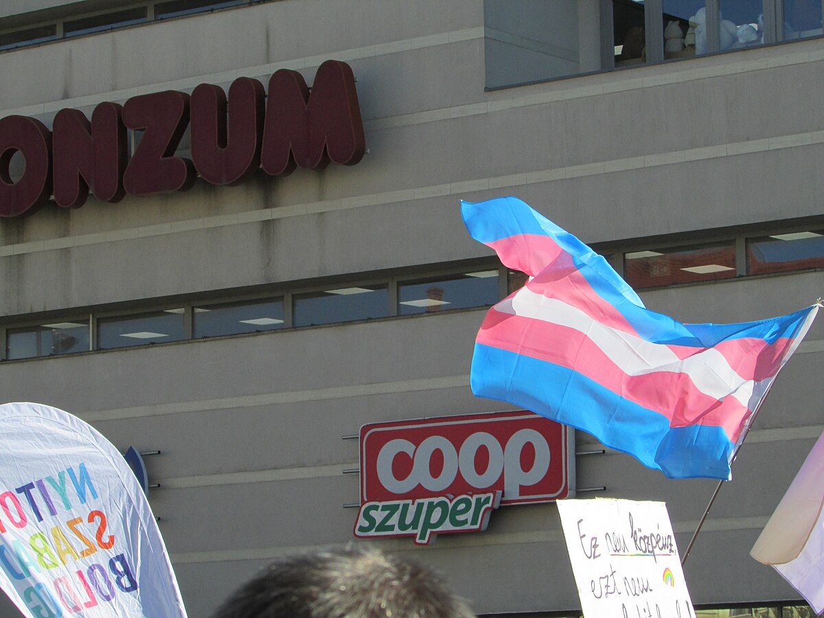 D.C. Appeals Court Upholds Trump Administration's Ban on Transgender Military Service