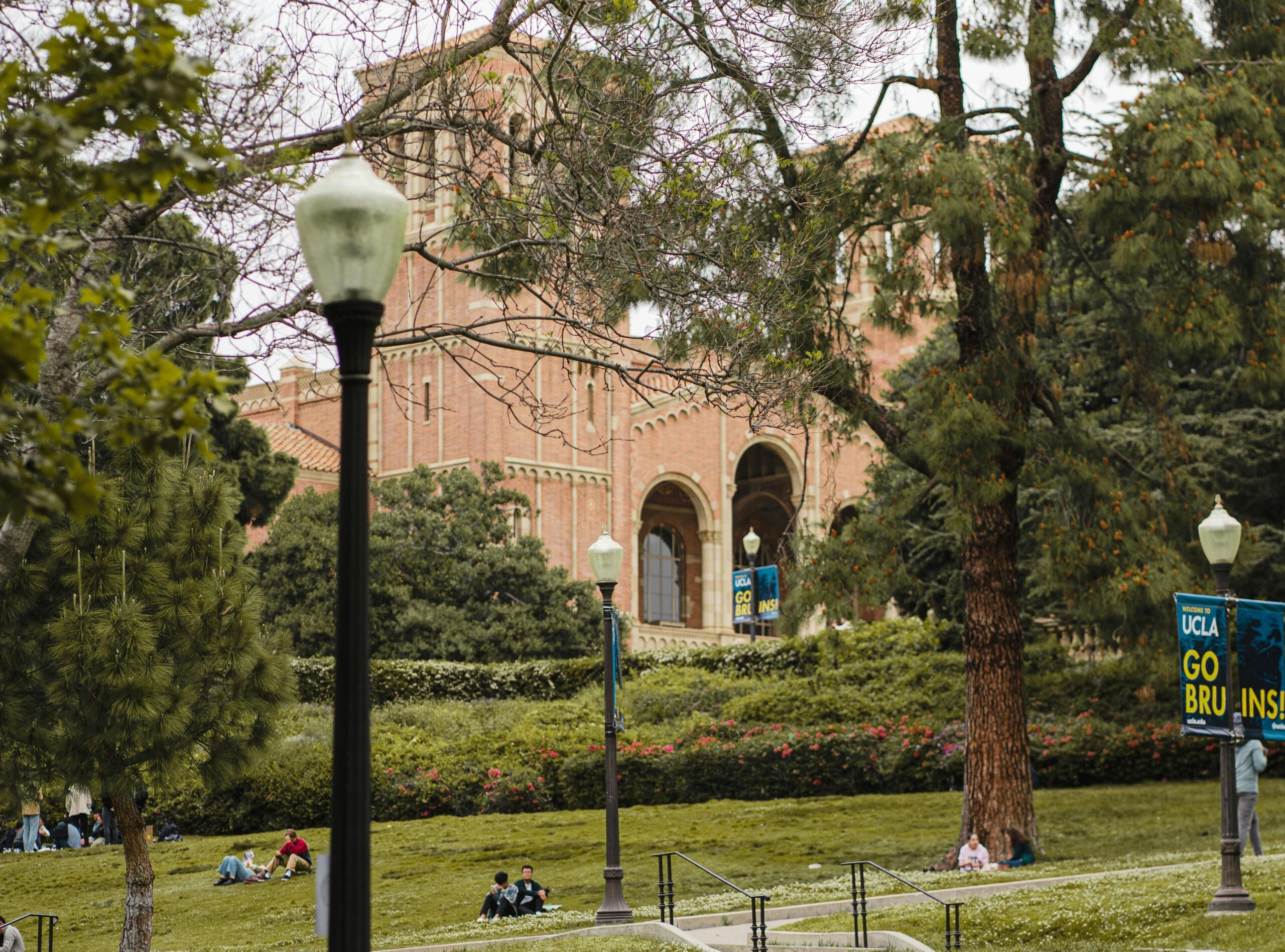 Department of Justice Supports Lawsuit Against UCLA Medical School's Admissions Practices