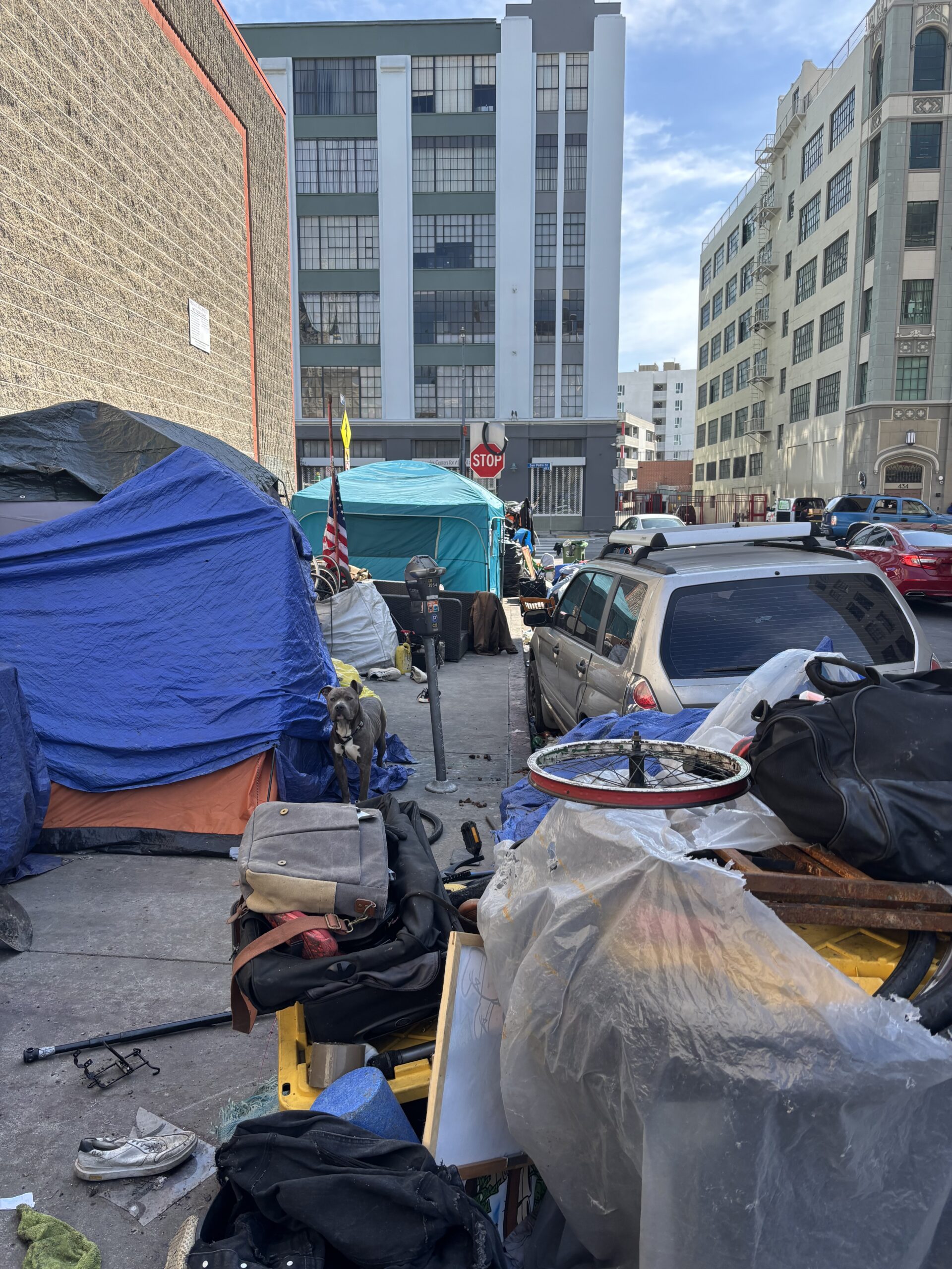 Federal Task Force Addresses Animal Abuse Crisis in Los Angeles