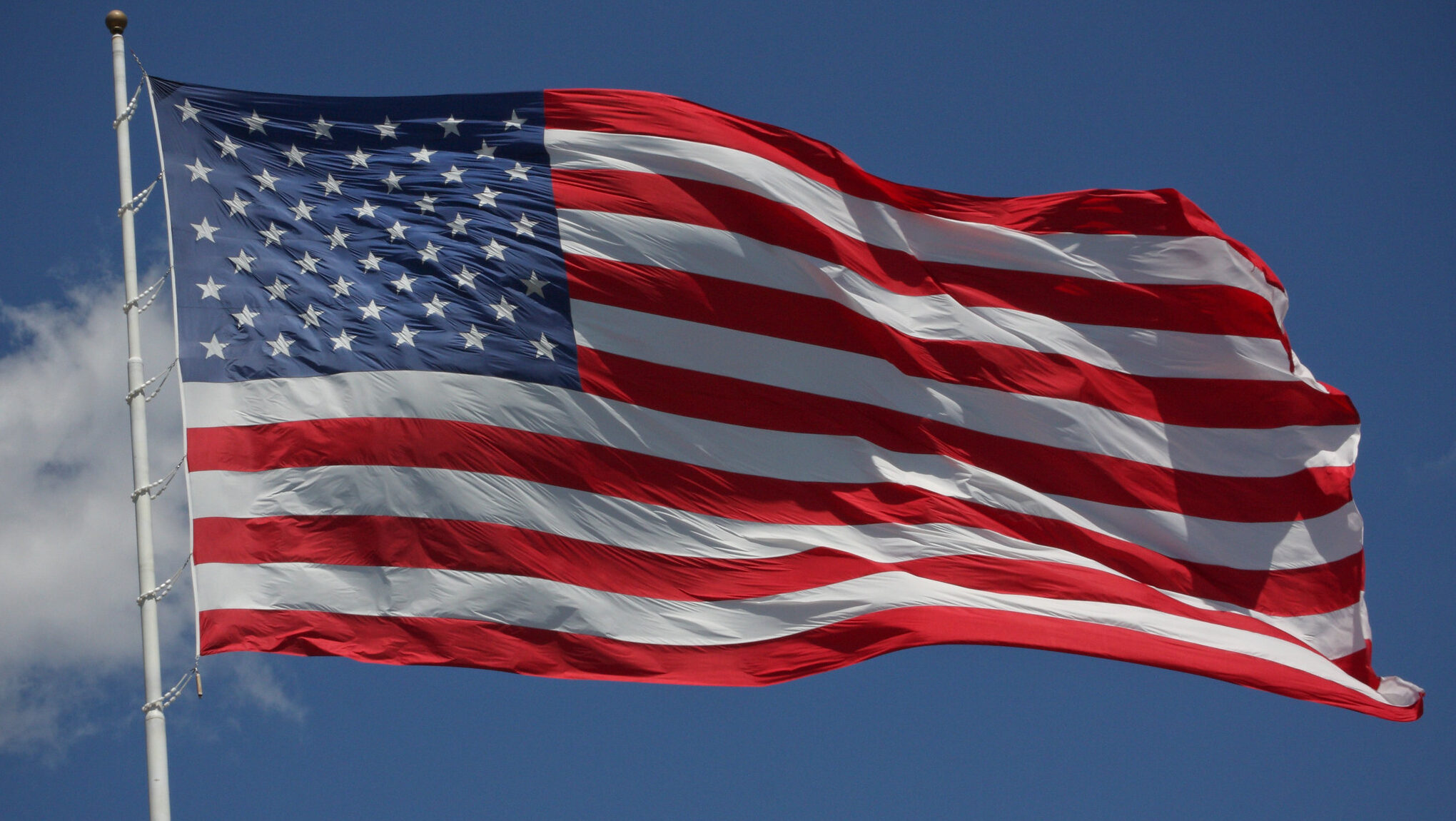 Newsweek Criticizes UFC Costumes Amid Flag Code Debate