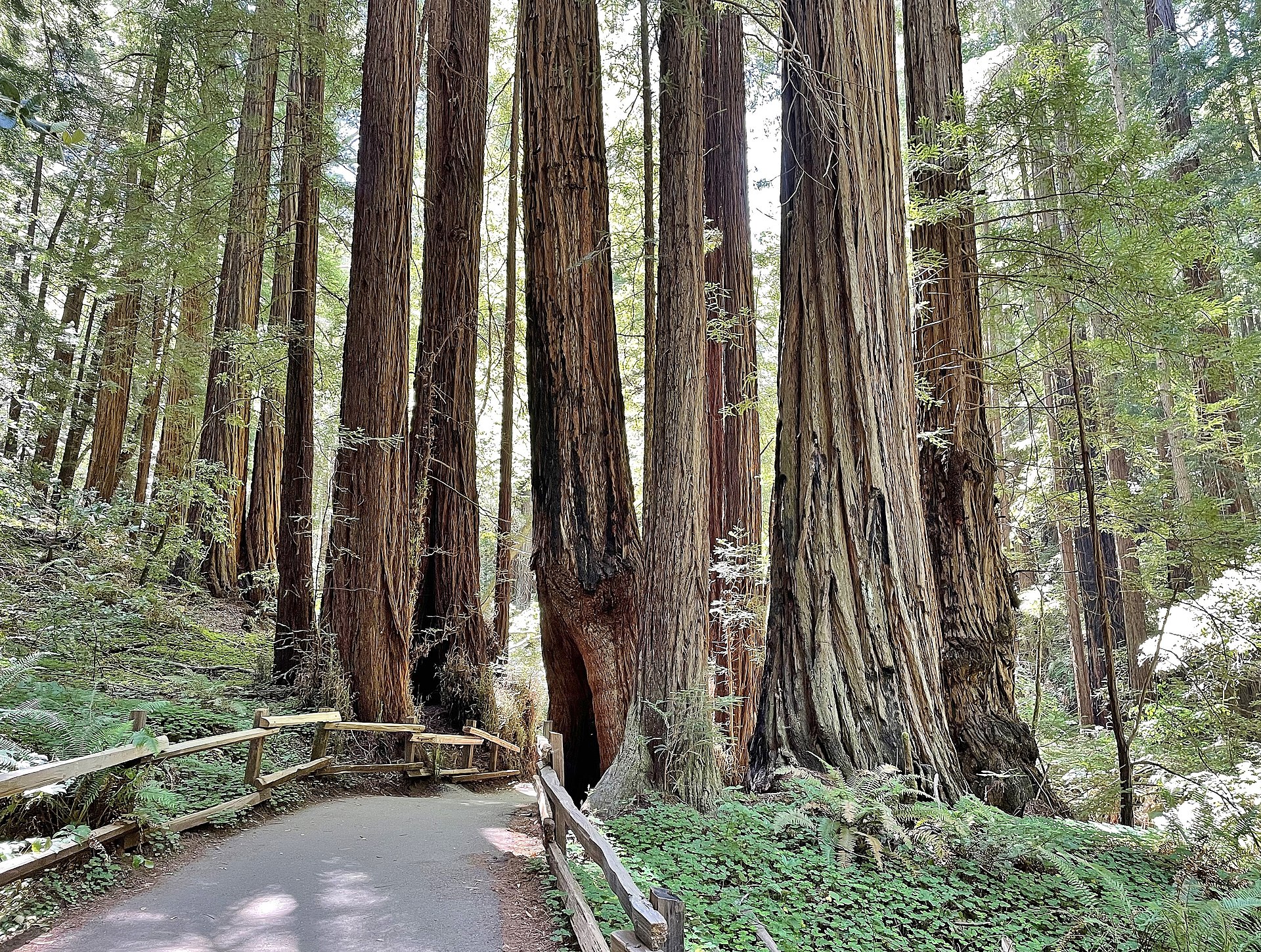Federal Judge Orders Restoration of National Park Signs Removed by Trump Administration