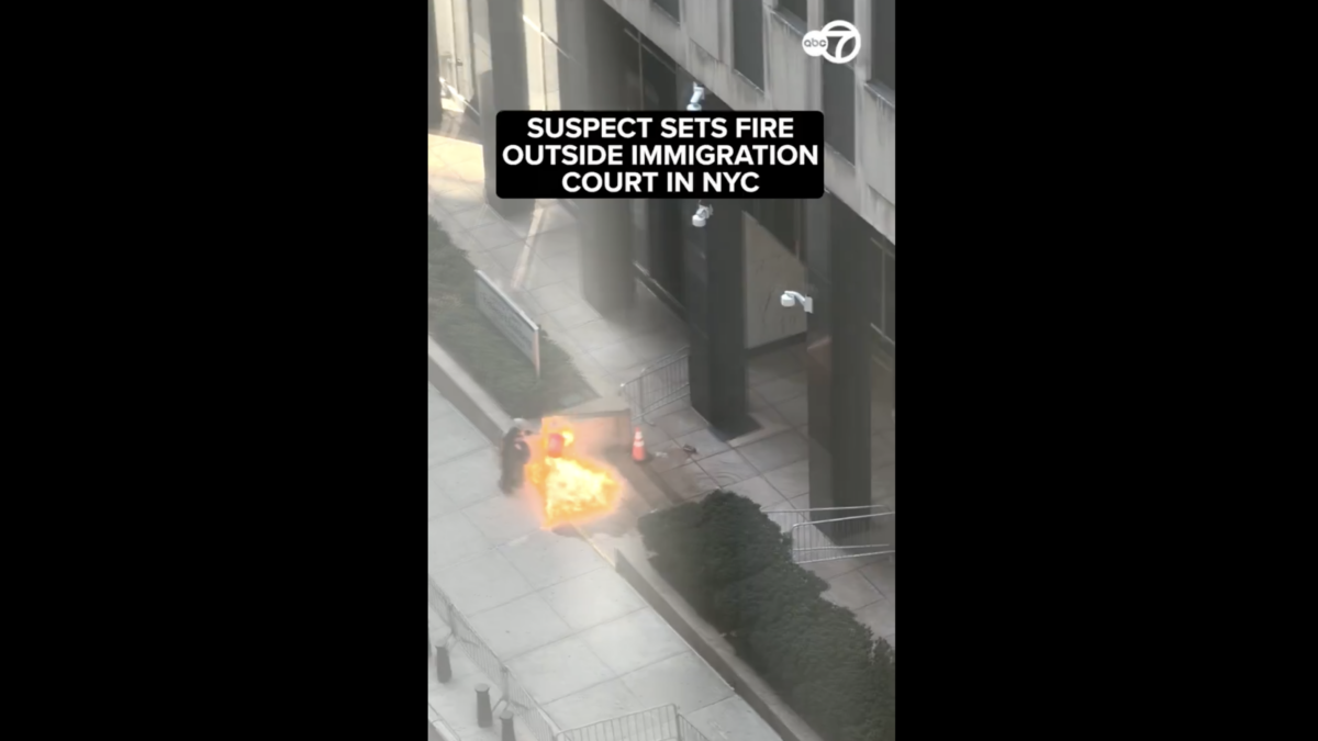 Army Veteran Charged in Anti-ICE Attack Outside NYC Federal Building